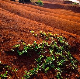 《战神：诸神黄昏》已通过Steam Deck验证